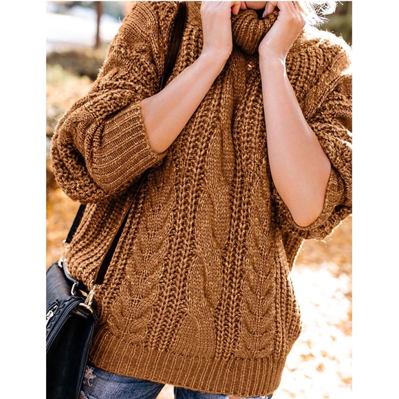 Ginger Turtleneck Chunky Sweater - Picture 2 of 4